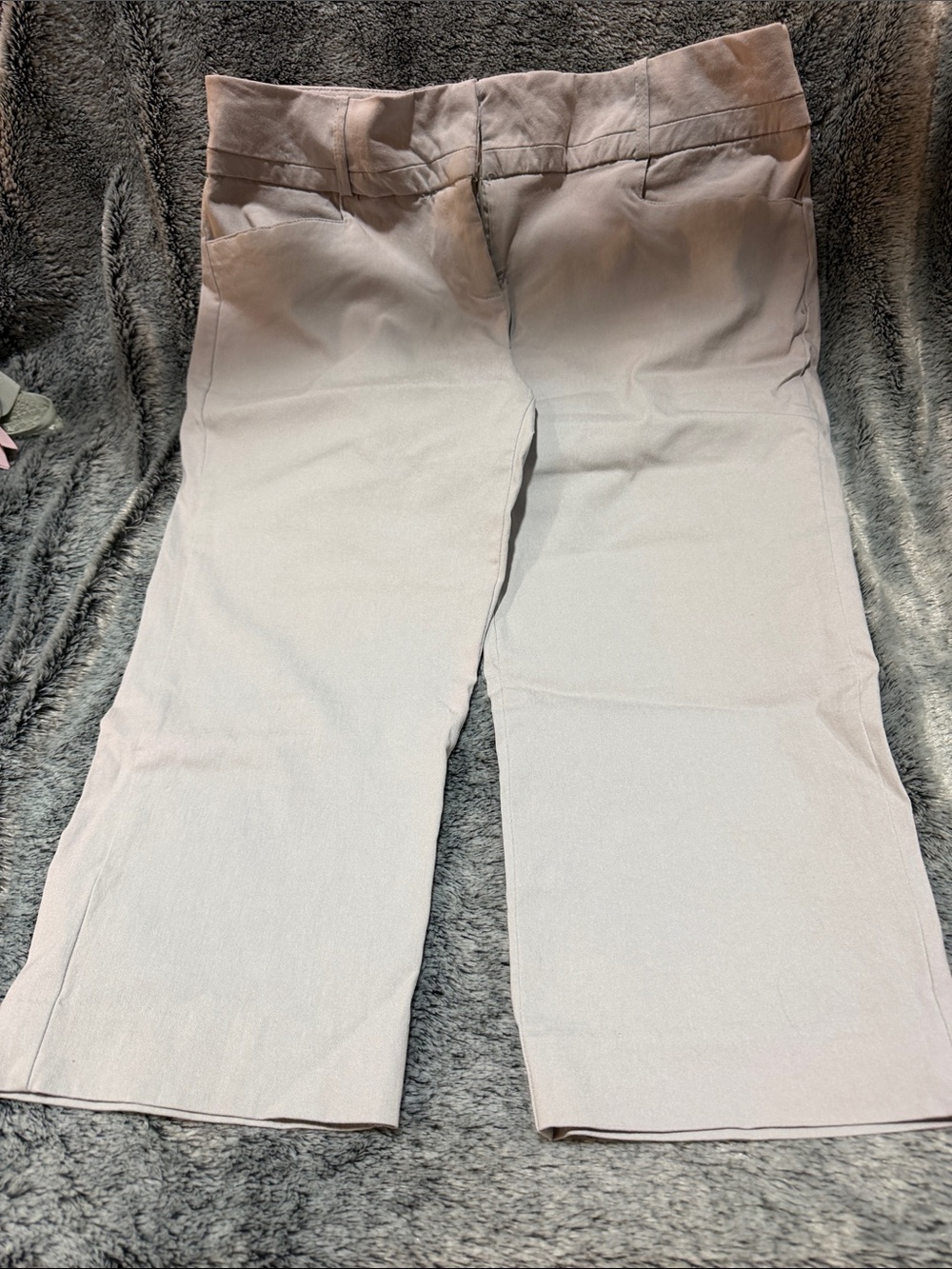 The Limited Pale grey Stretch Dress capris